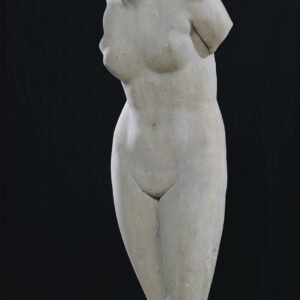 Torso of Venus